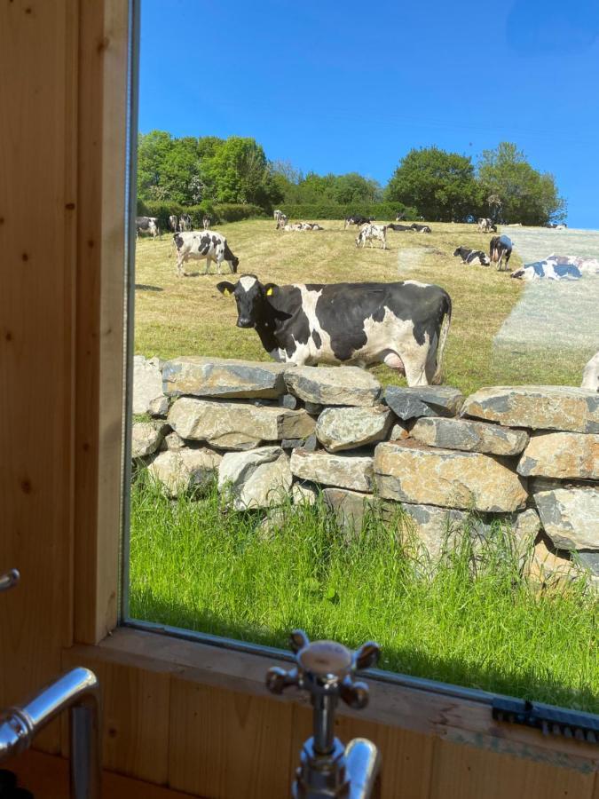 The Stone Wall Hideaway Portglenone Exteriör bild